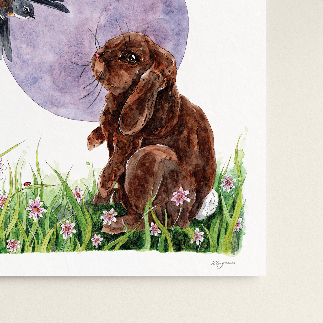 "Curiosity" Print