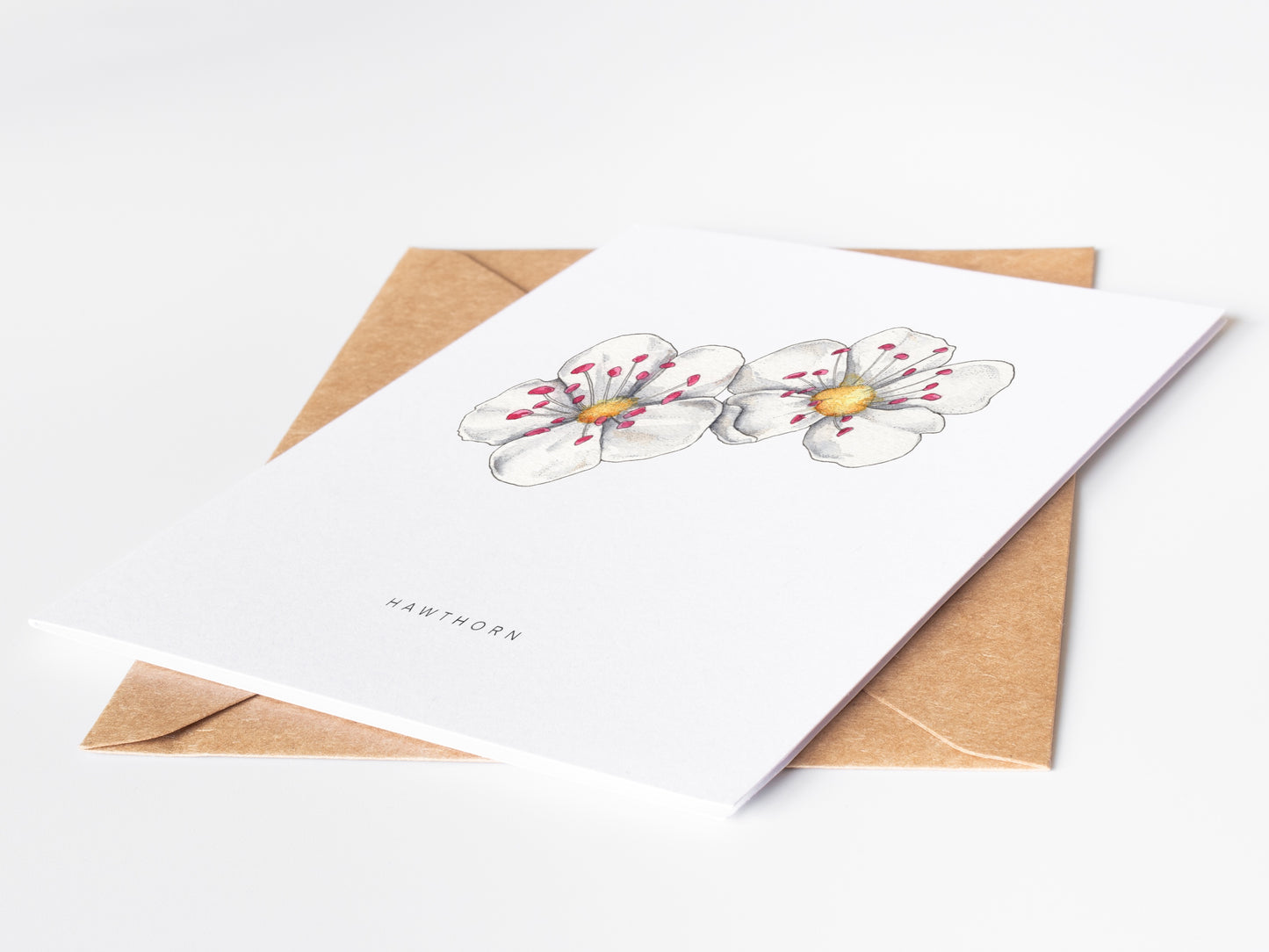 Hawthorn Greeting Card
