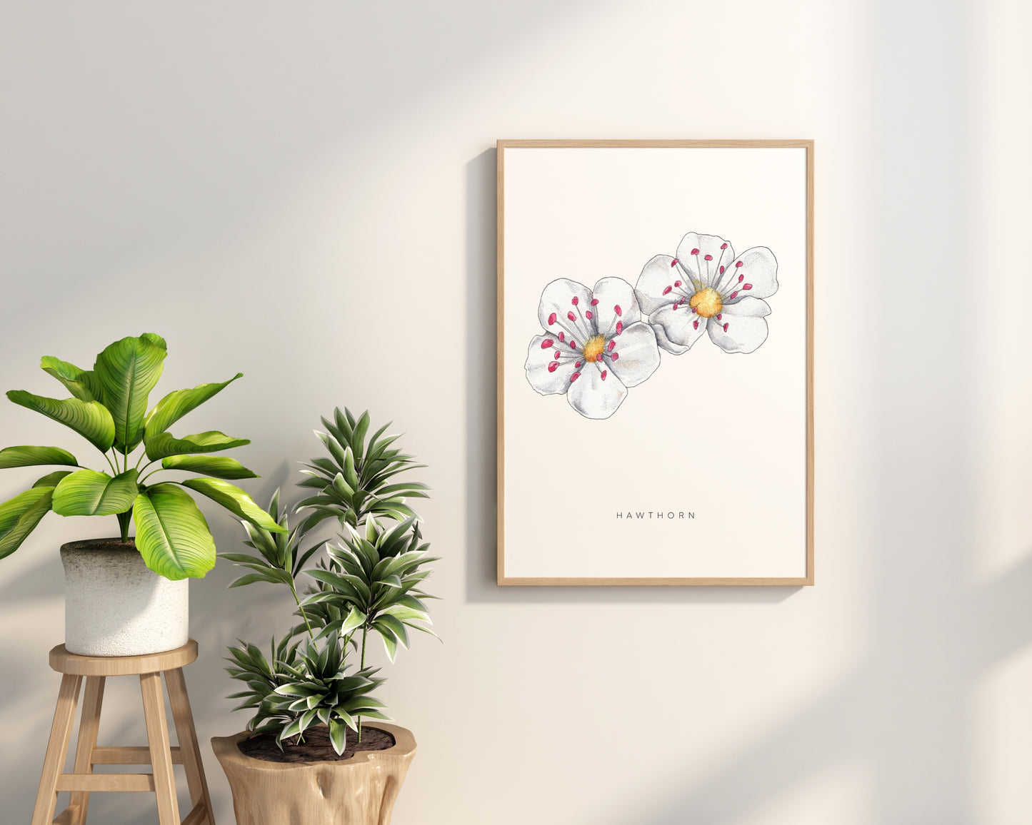 Hawthorn Flower Print