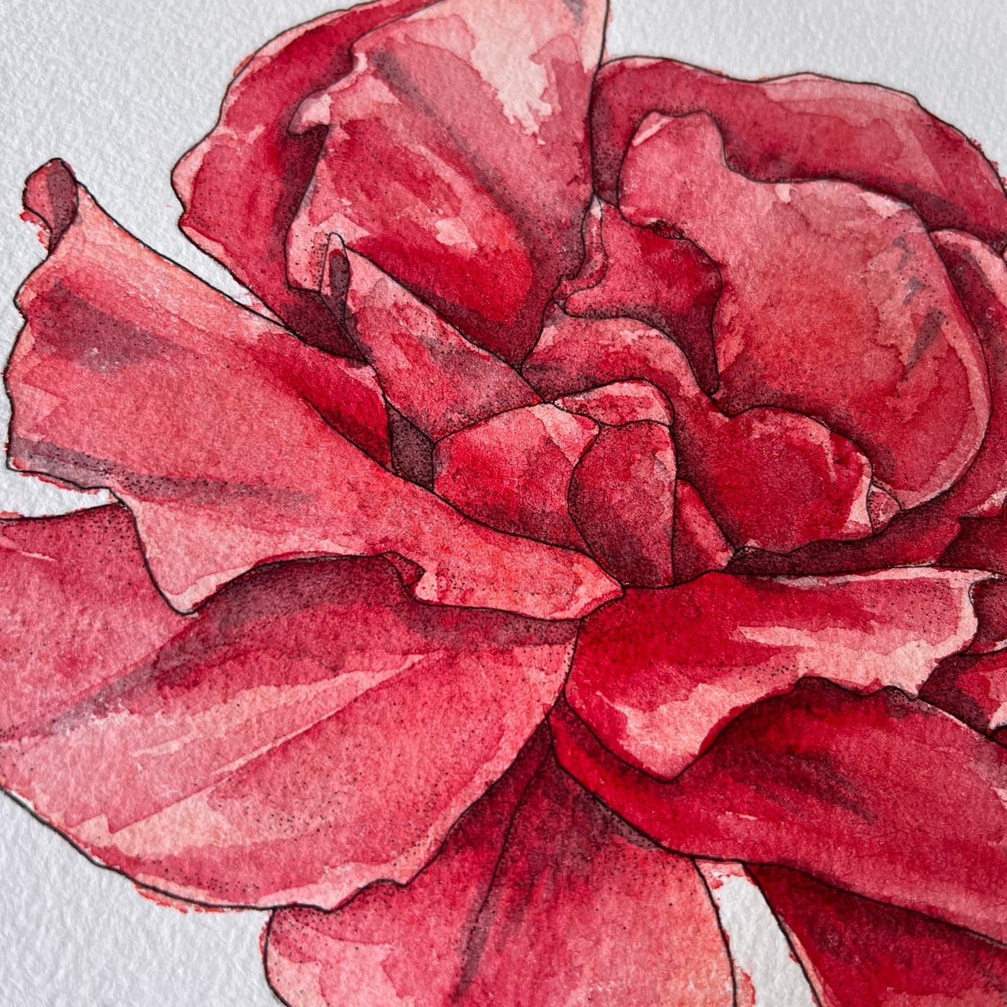 Rose Flower Original