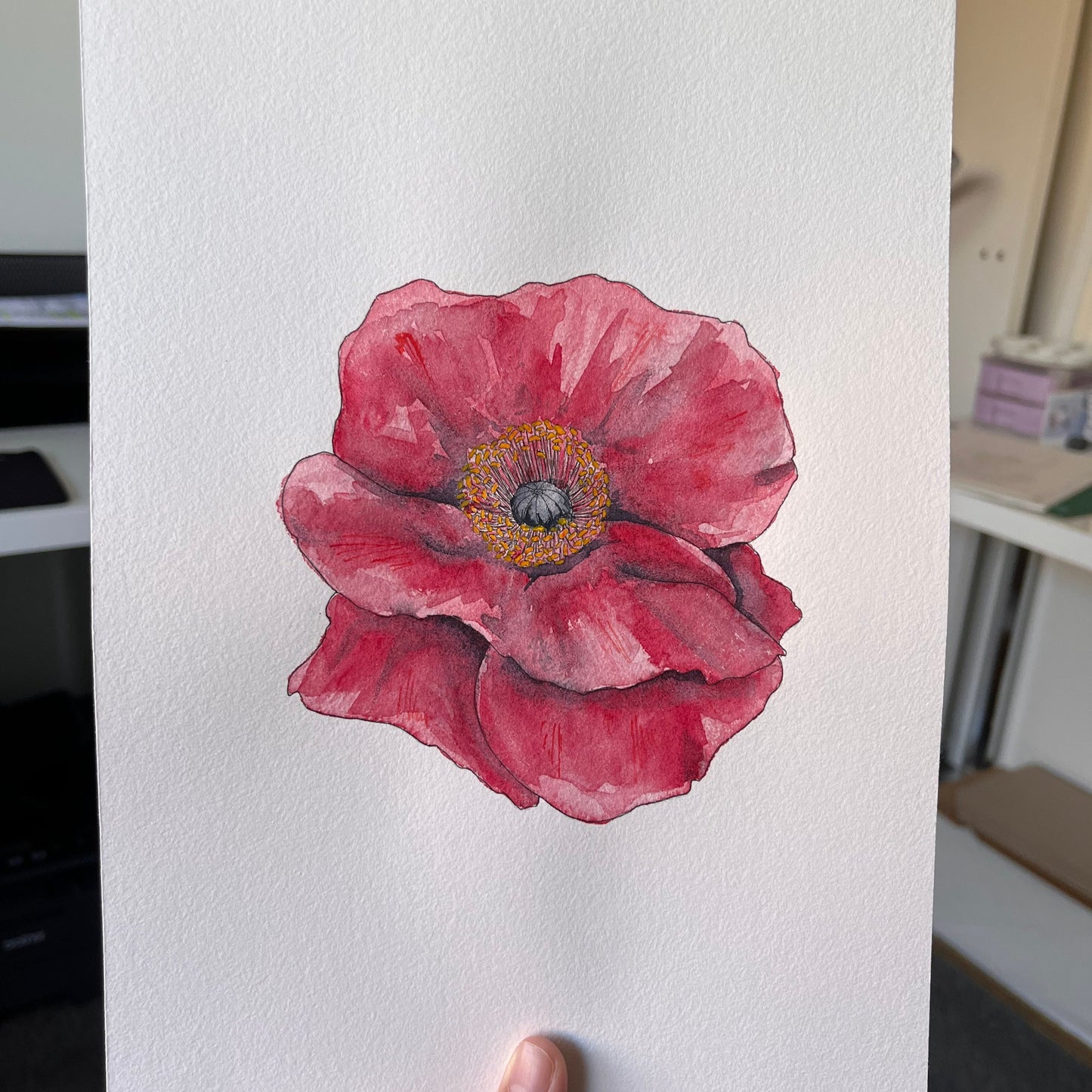 Poppy Flower Original