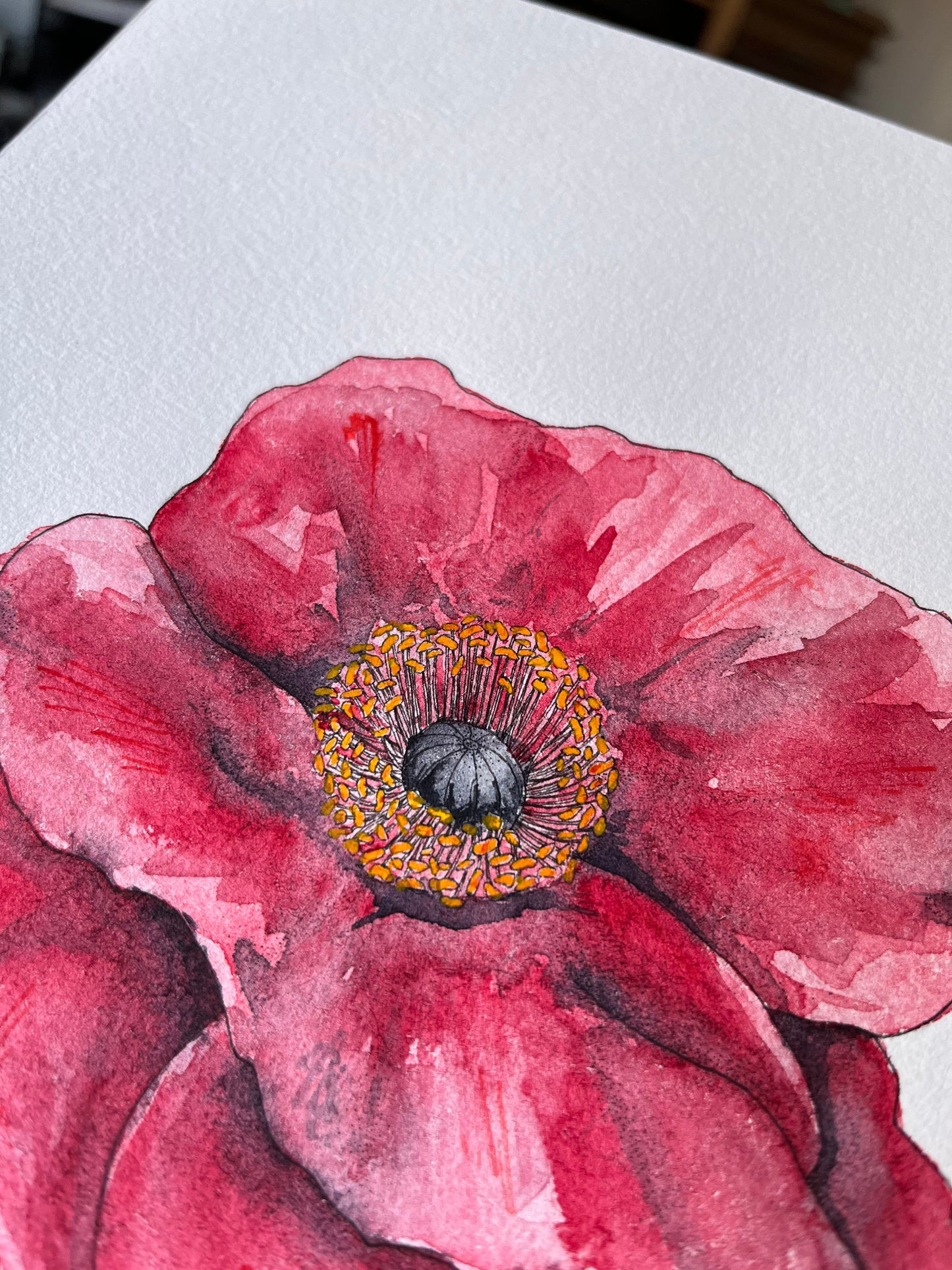 Poppy Flower Original