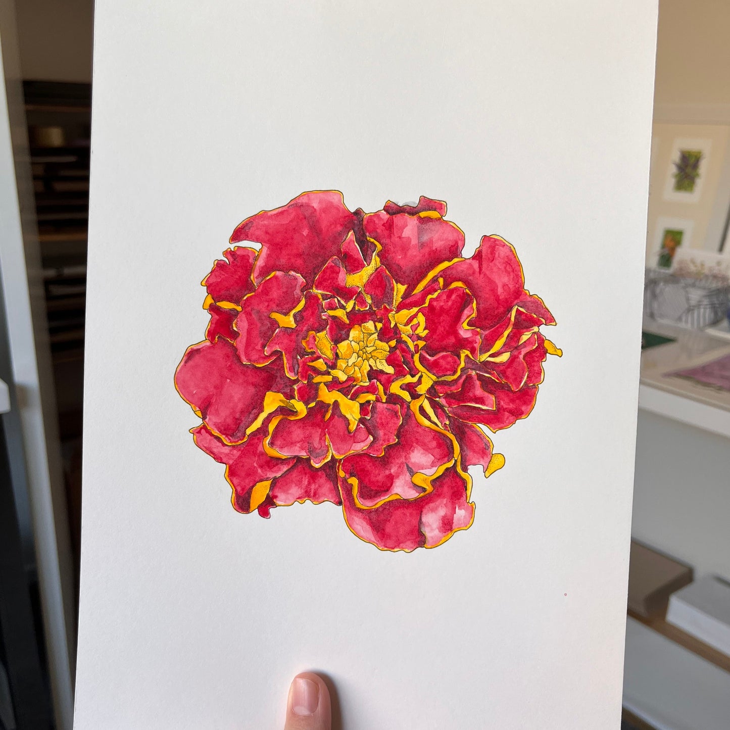 Marigold Flower Original