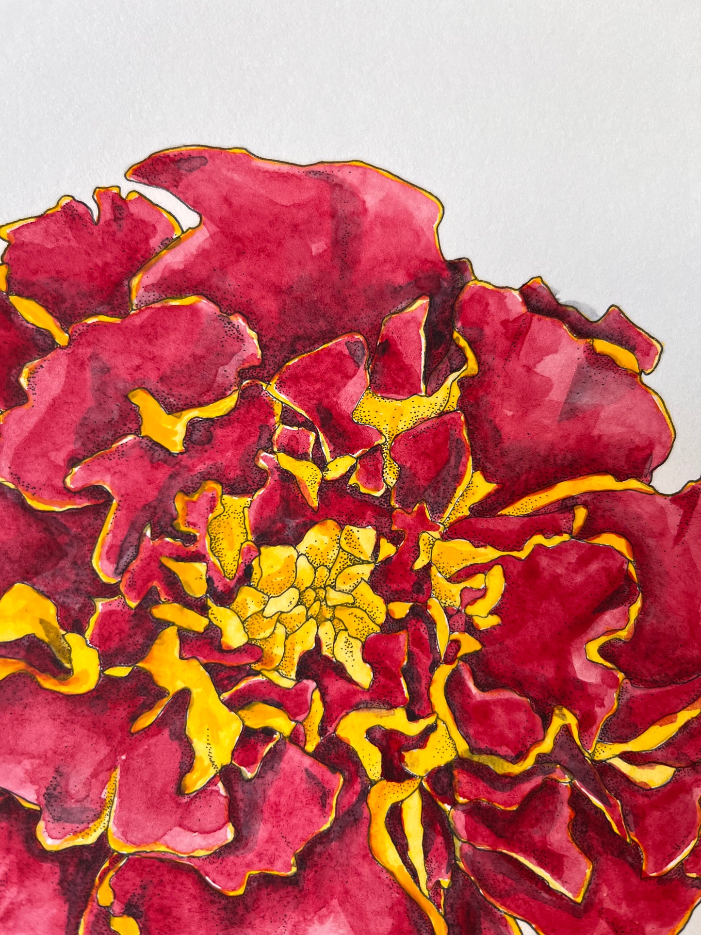 Marigold Flower Original