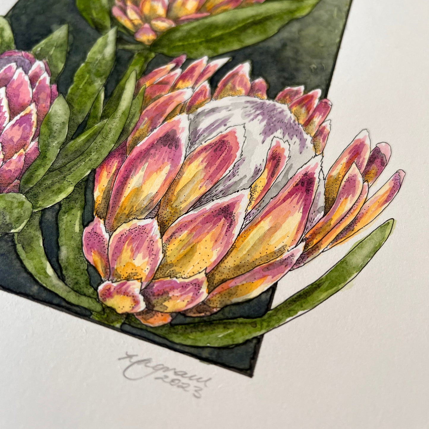 Protea Original