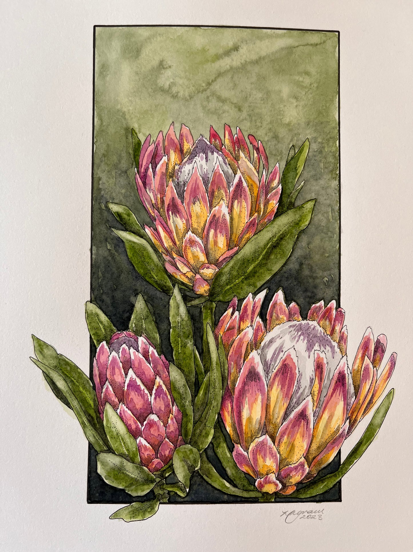 Protea Original