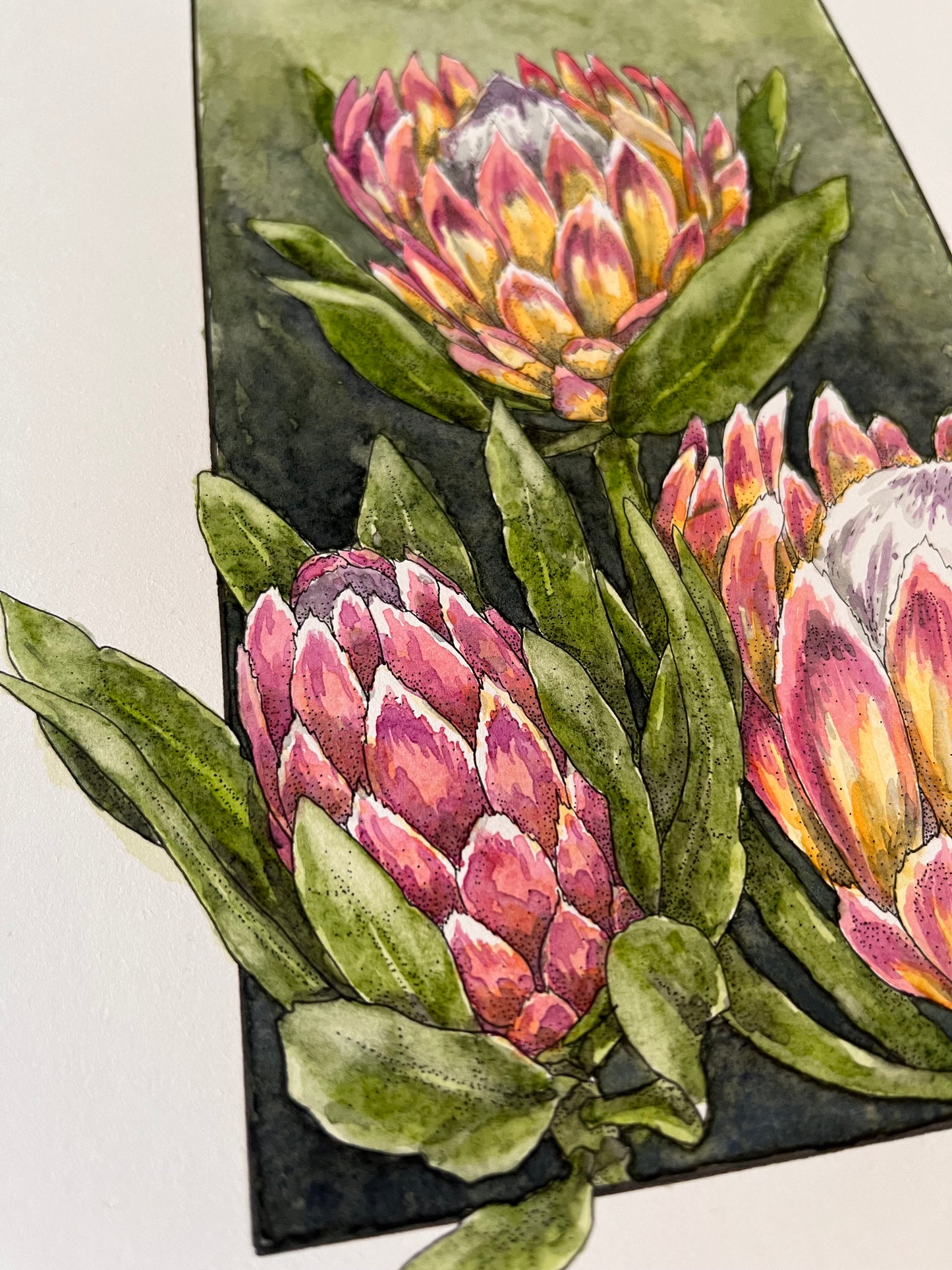 Protea Original