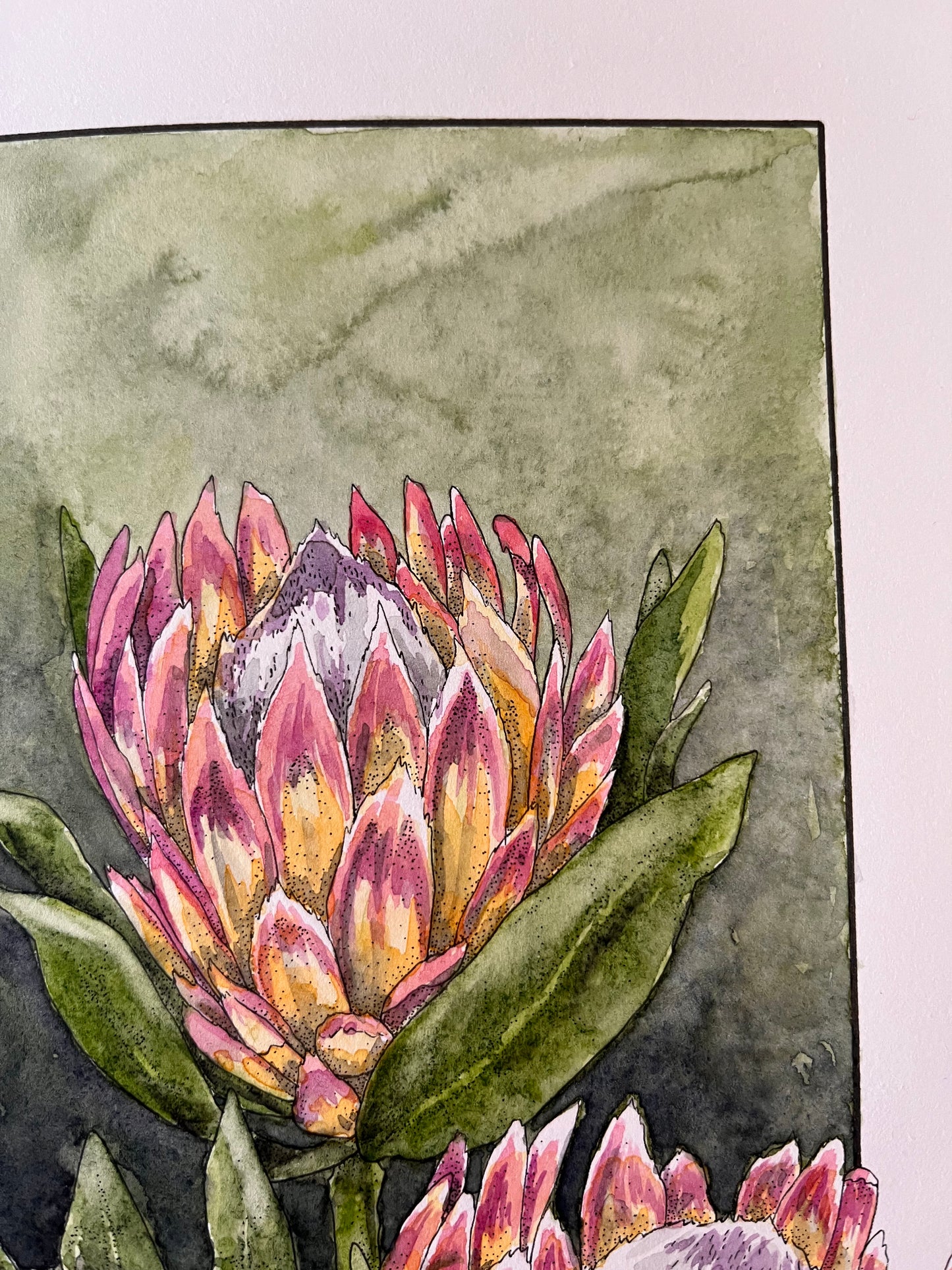 Protea Original