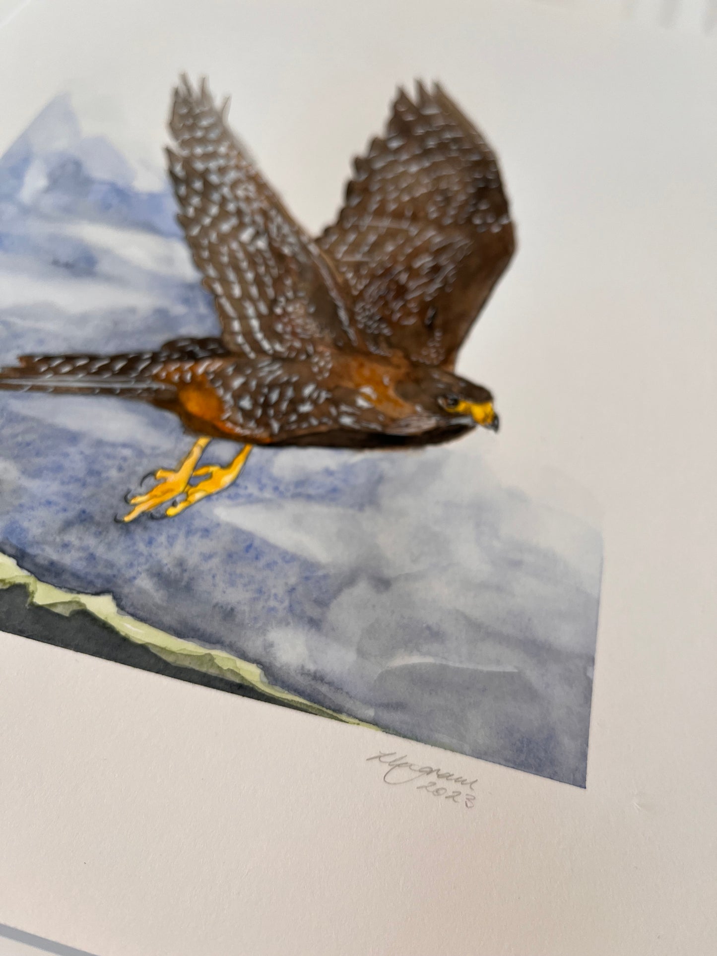 Falcon in Flight Original