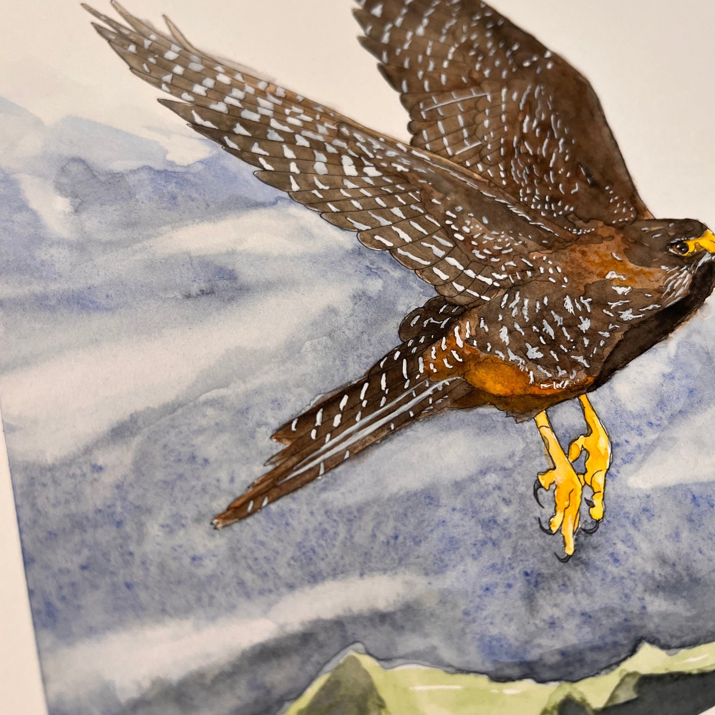 Falcon in Flight Original