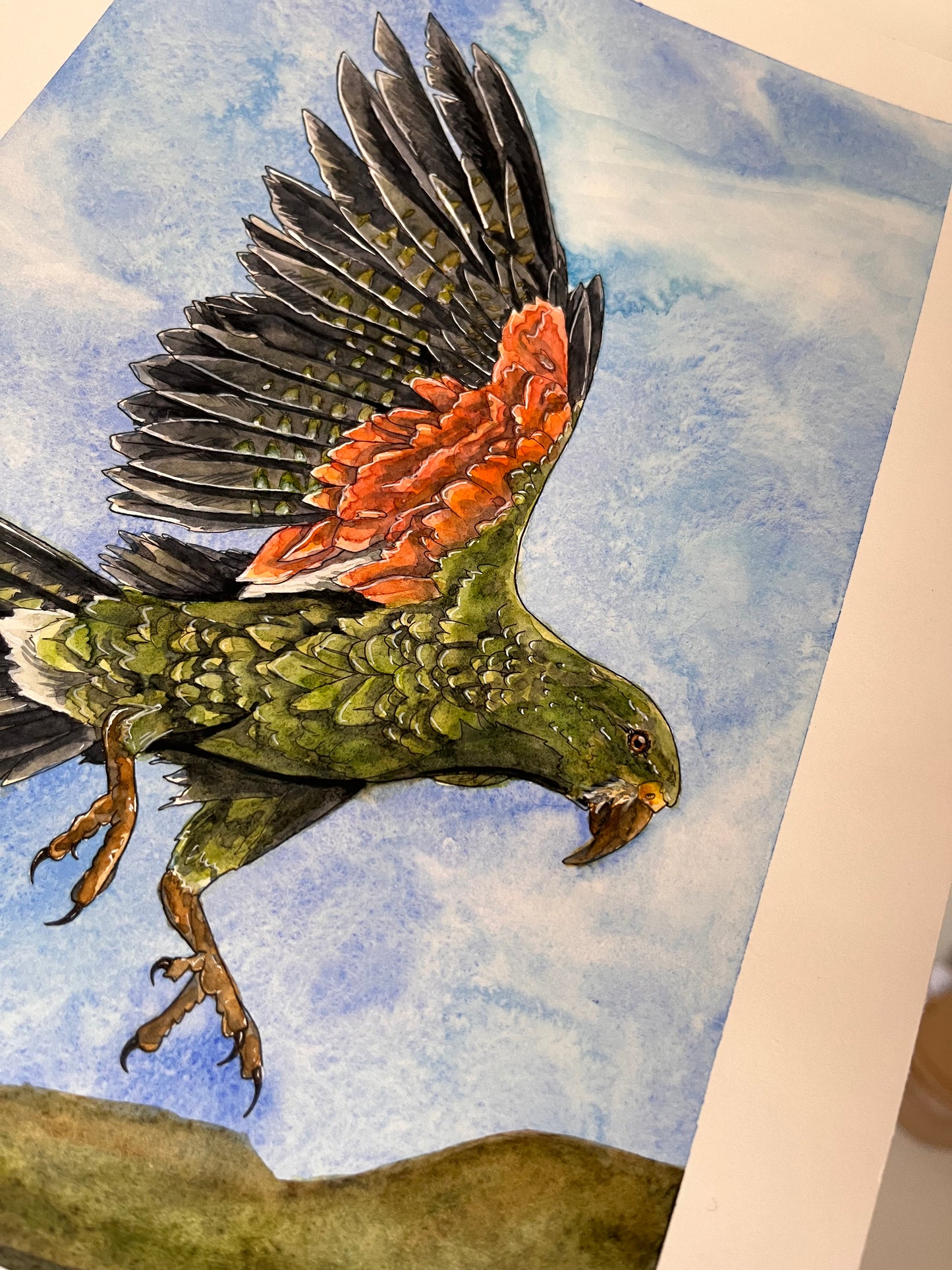 Kea of the Alps Original