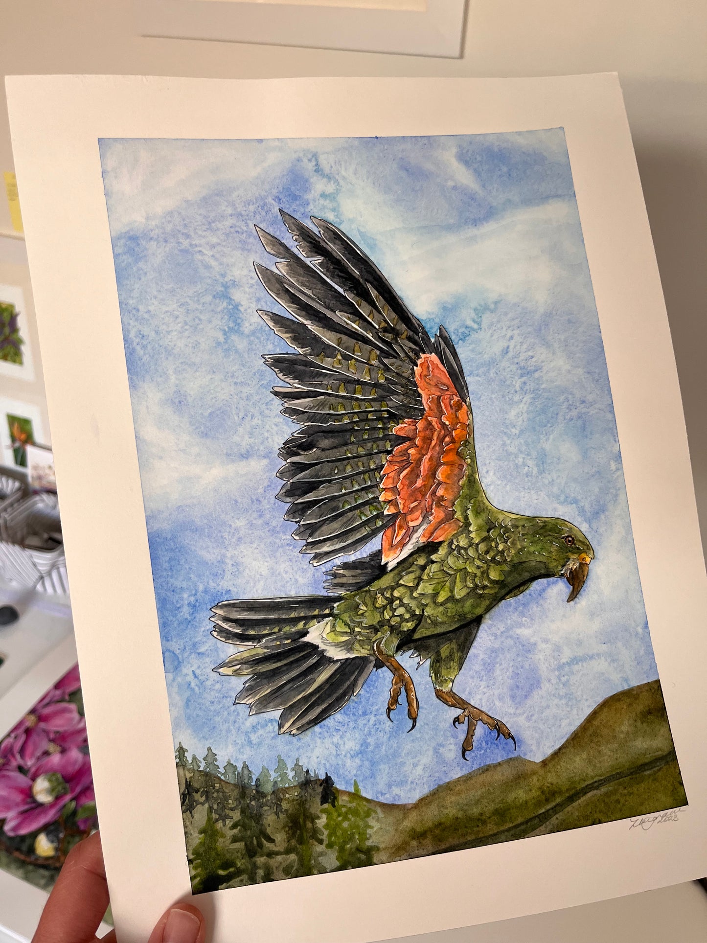 Kea of the Alps Original
