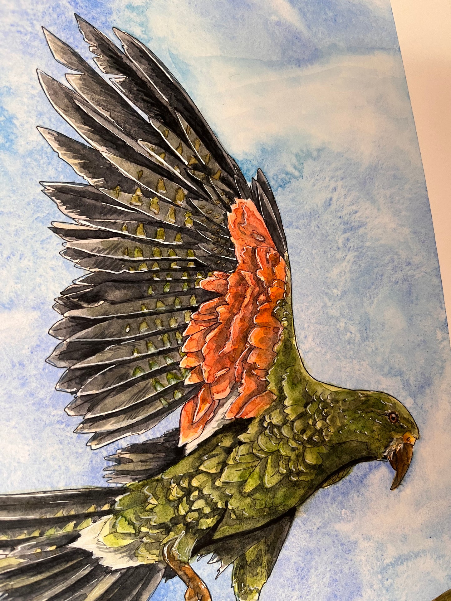 Kea of the Alps Original