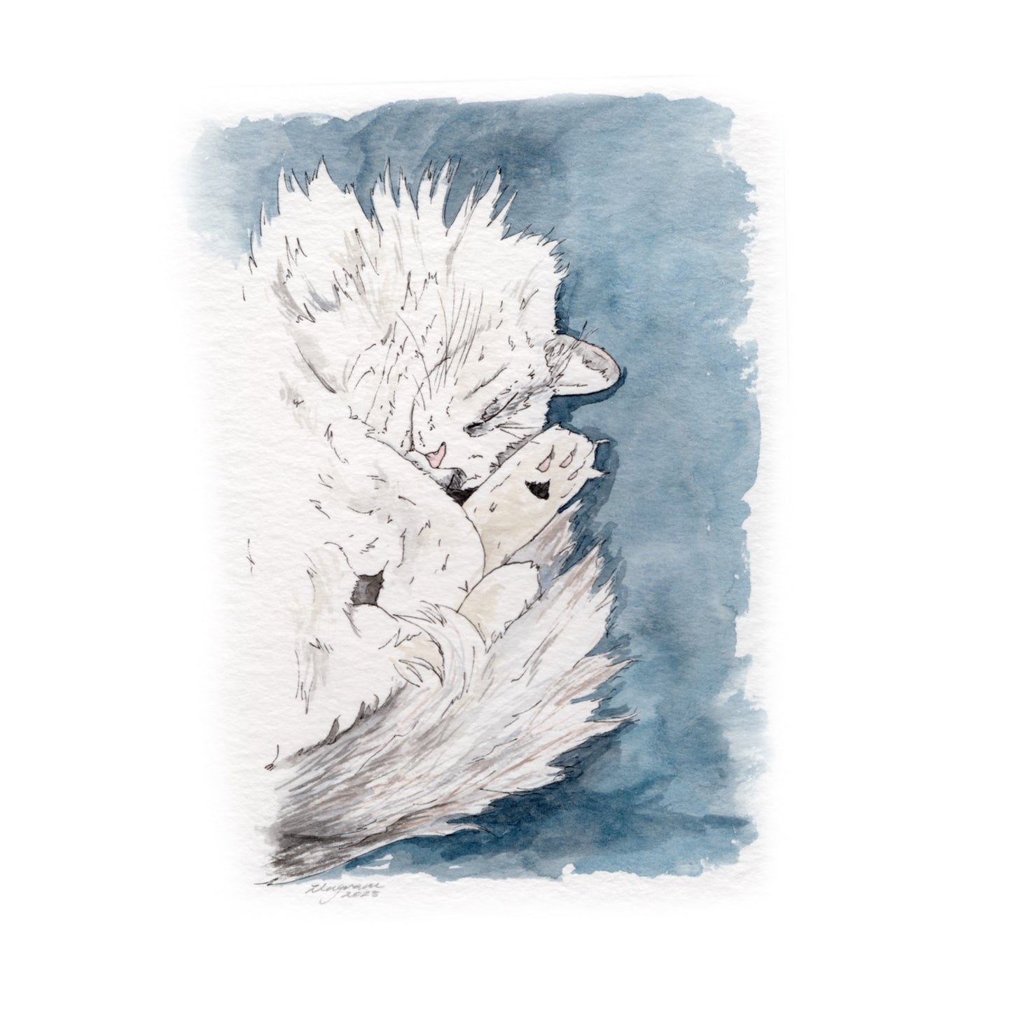 Mini Pet Portrait