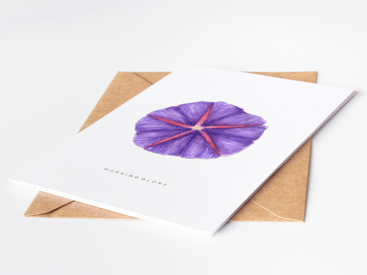 Morning Glory Flower Greeting Card