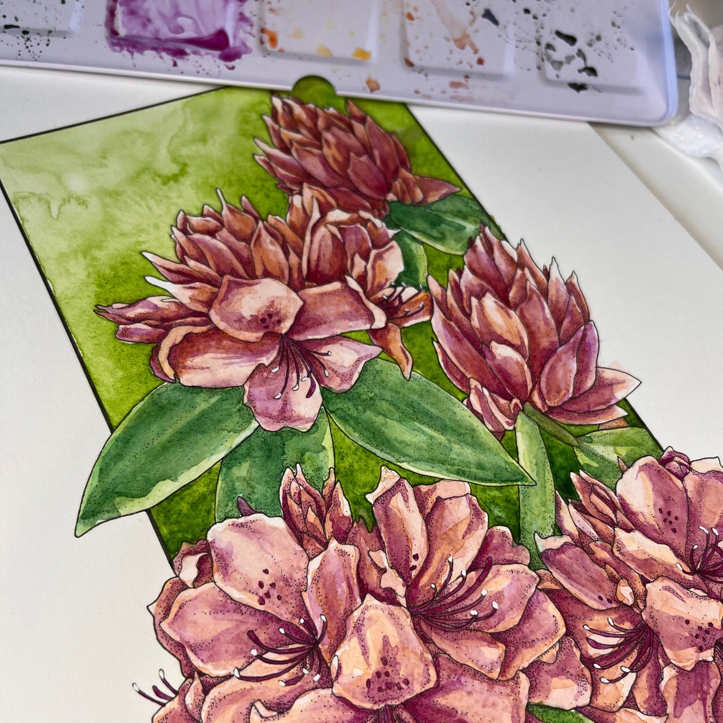 Rhododendron Original