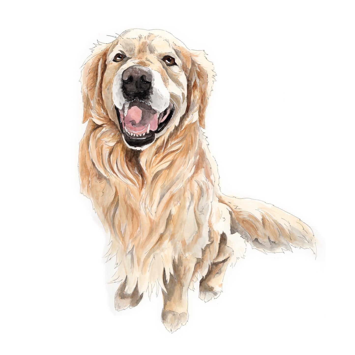 Pet Portrait - Request a quote