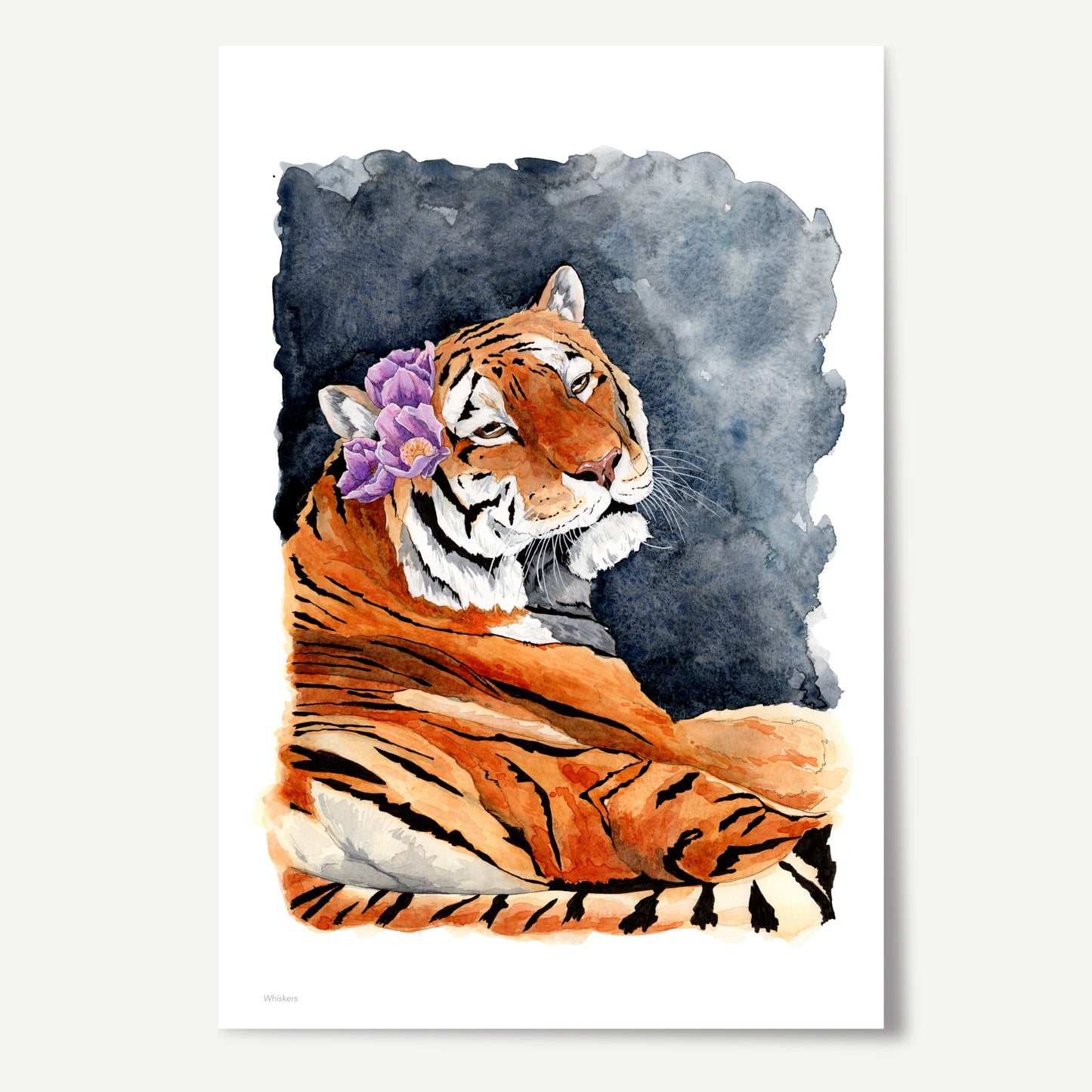 Whiskers Print