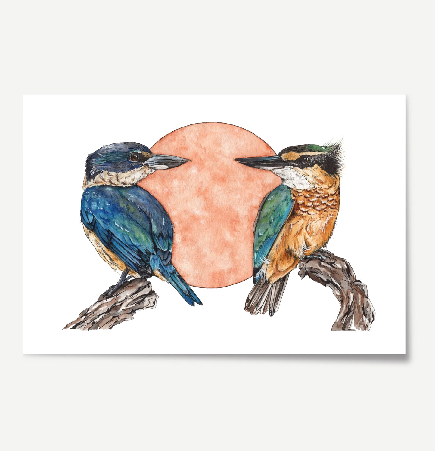 CLEARANCE - Native Pair Kōtare Print