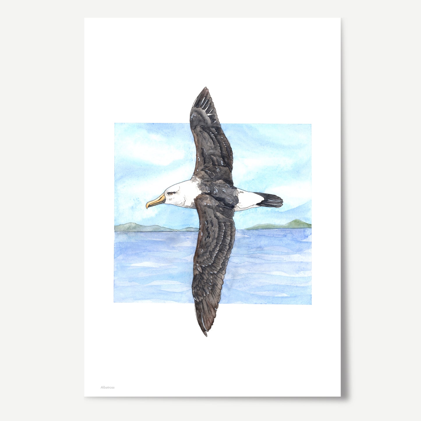 Albatross Print