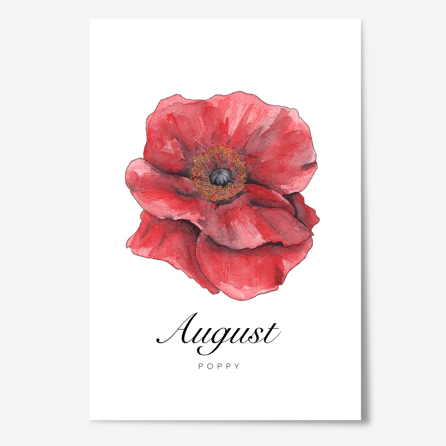 August Birth Month Flower Print