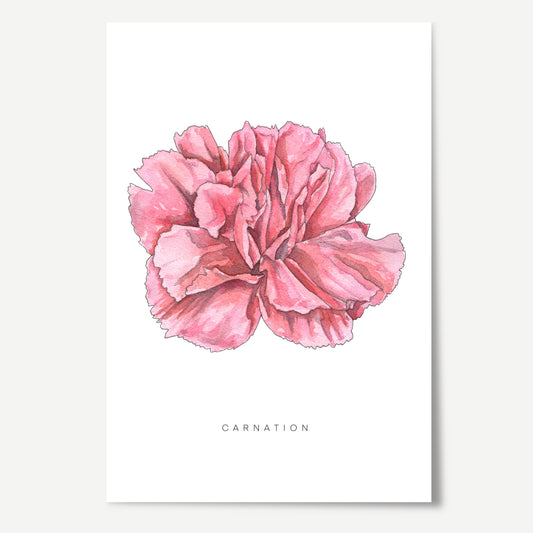 Carnation Flower Print