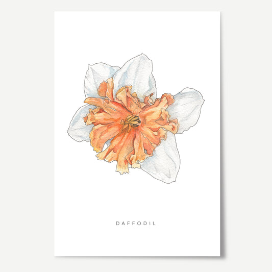 Daffodil Flower Print