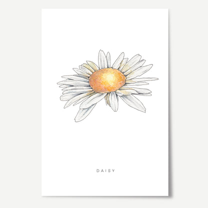 Daisy Flower Print