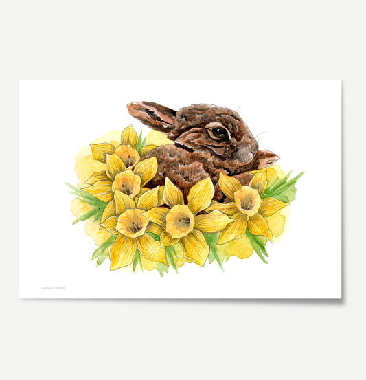 Dozing in Daffodils Print