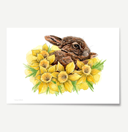Dozing in Daffodils Print
