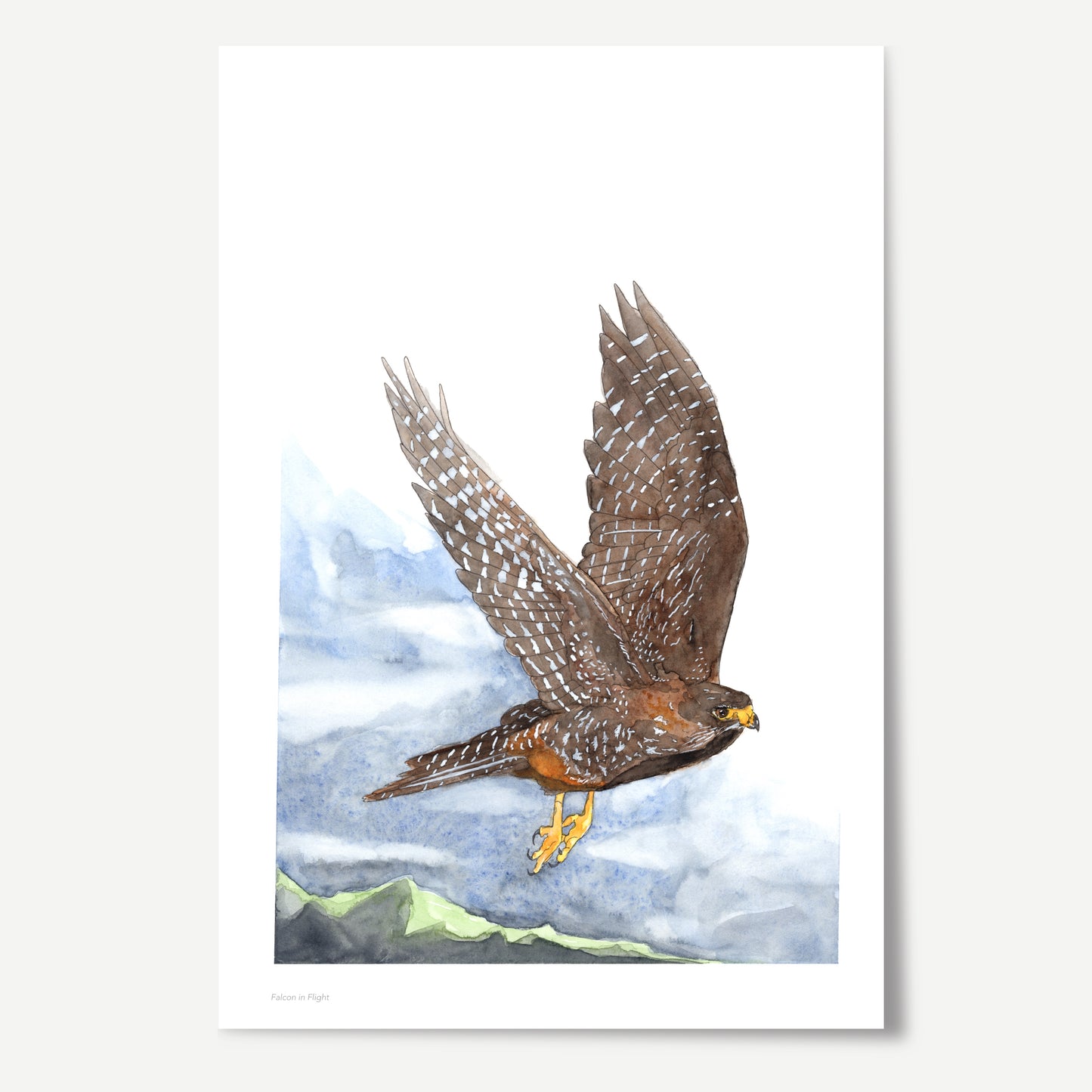Falcon in Flight Print