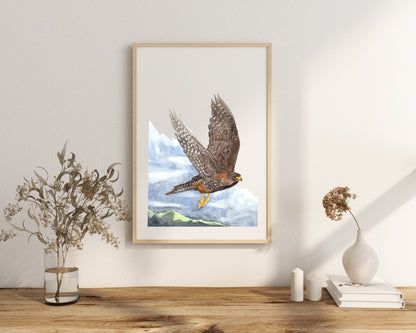 Falcon in Flight Print