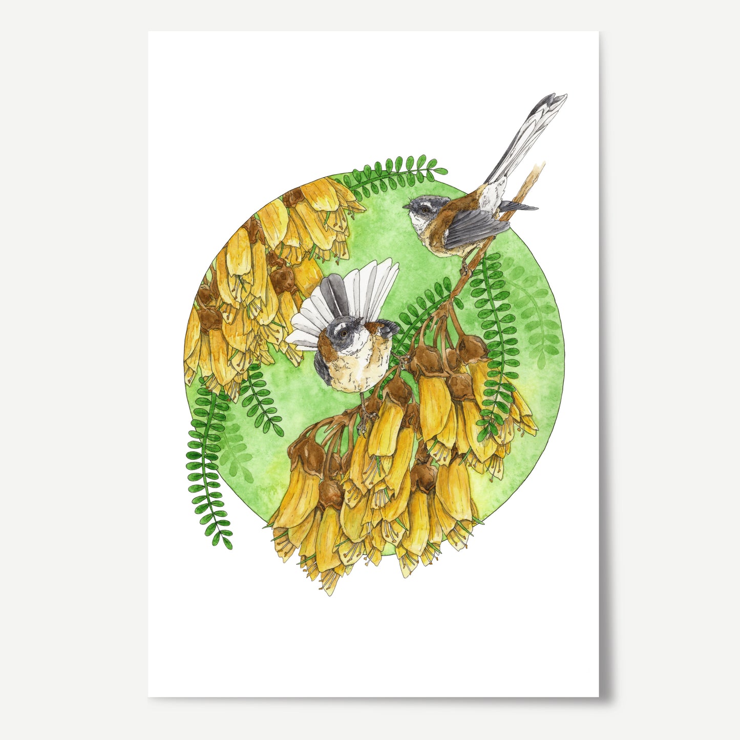 Fantailed Friends Print