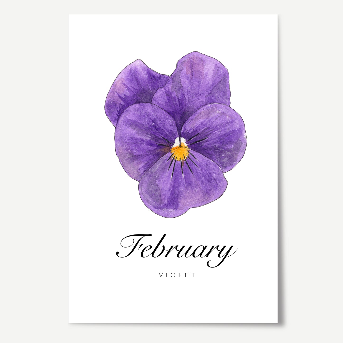 February Birth Month Flower Print