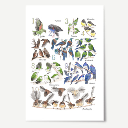 123 New Zealand Birds Print