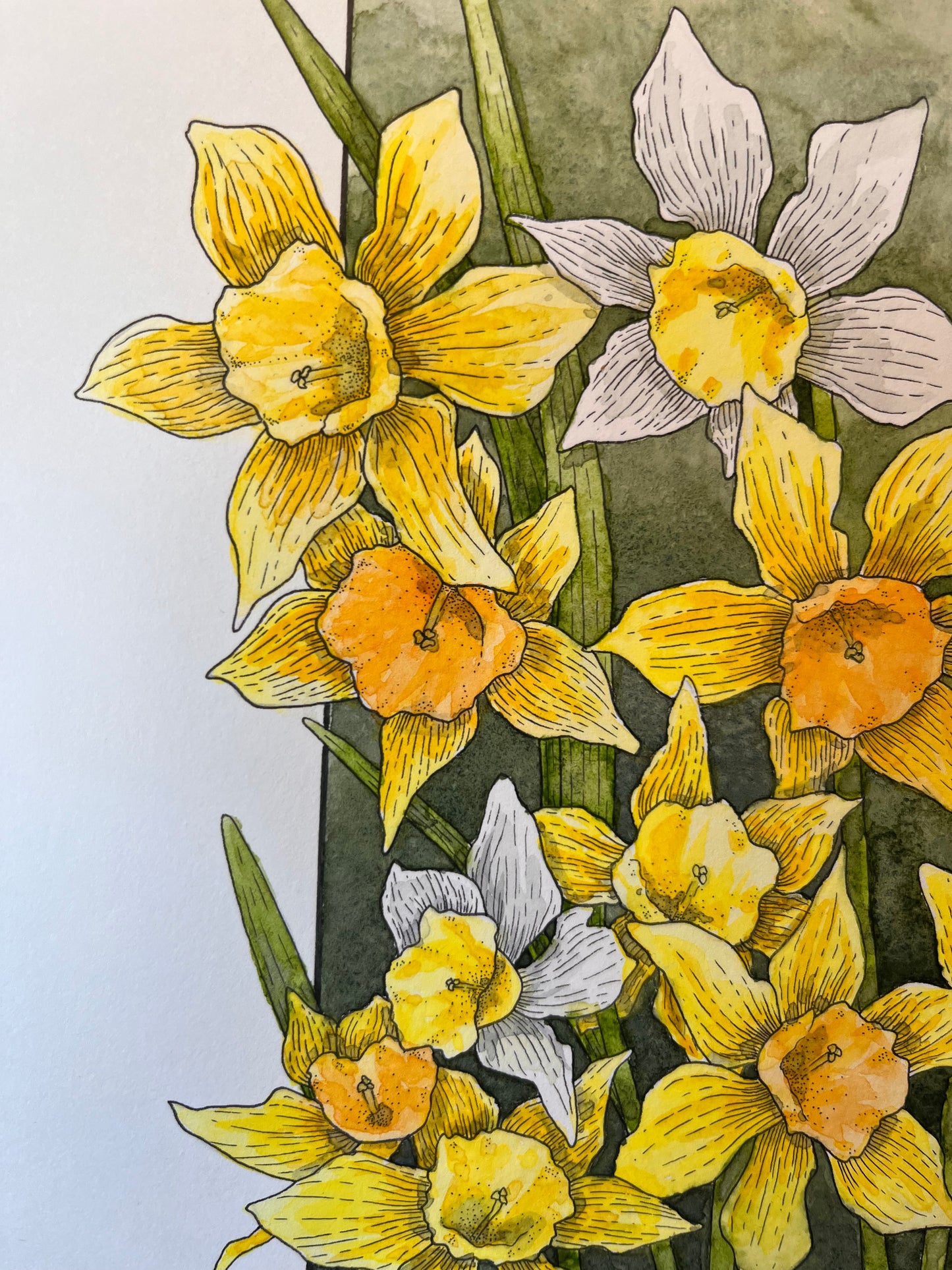 Daffodils Original