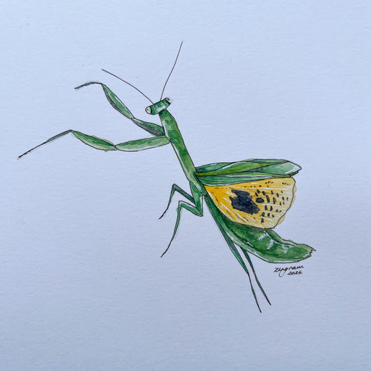 Mini one-off "Preying mantis" Original
