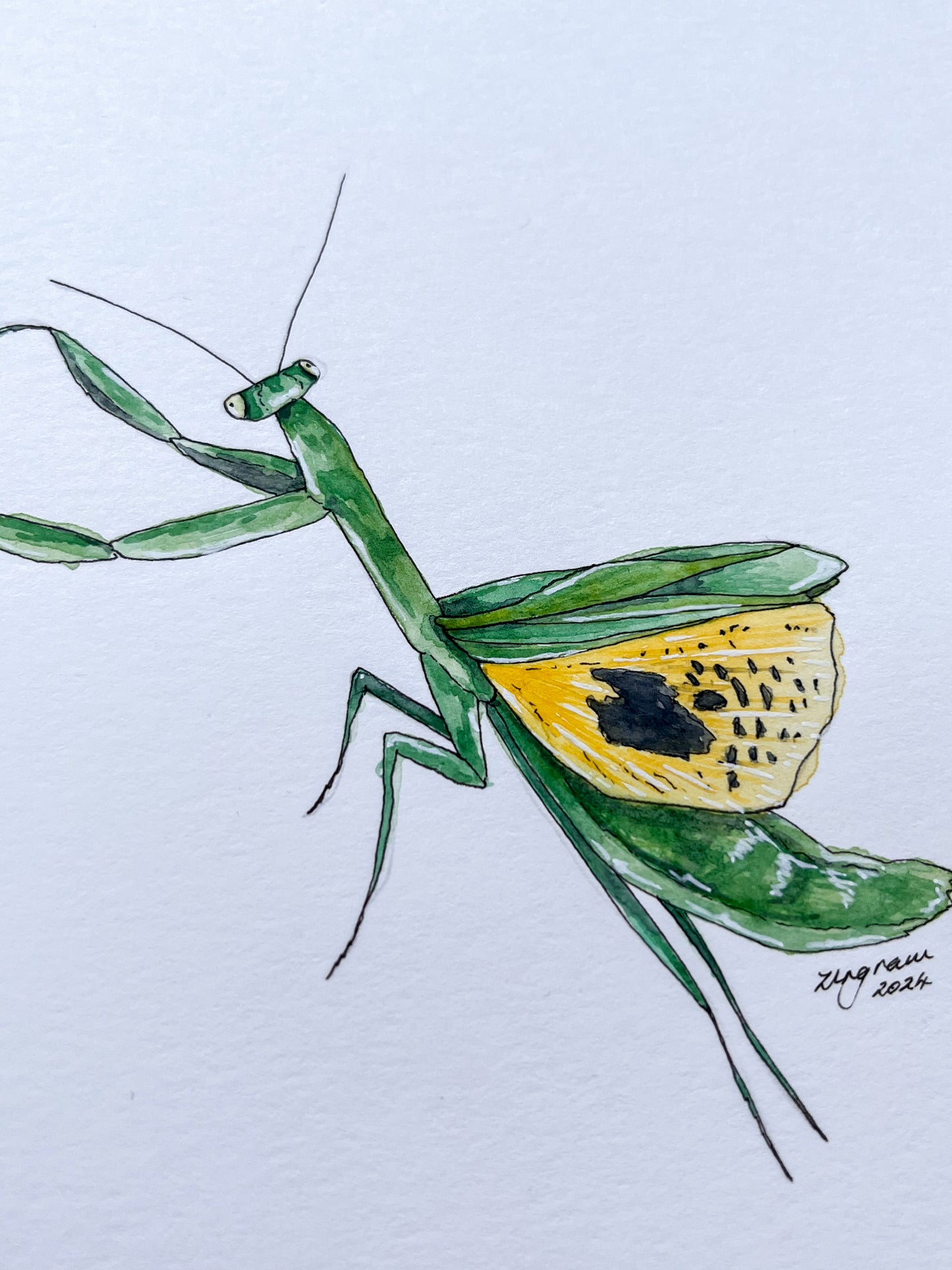 Mini one-off "Preying mantis" Original