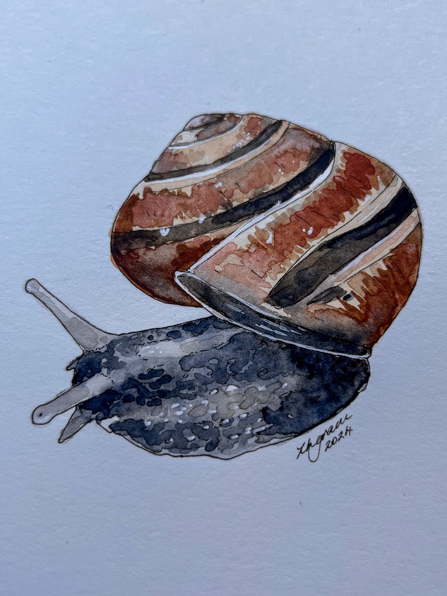 Mini one-off "Snail" Original