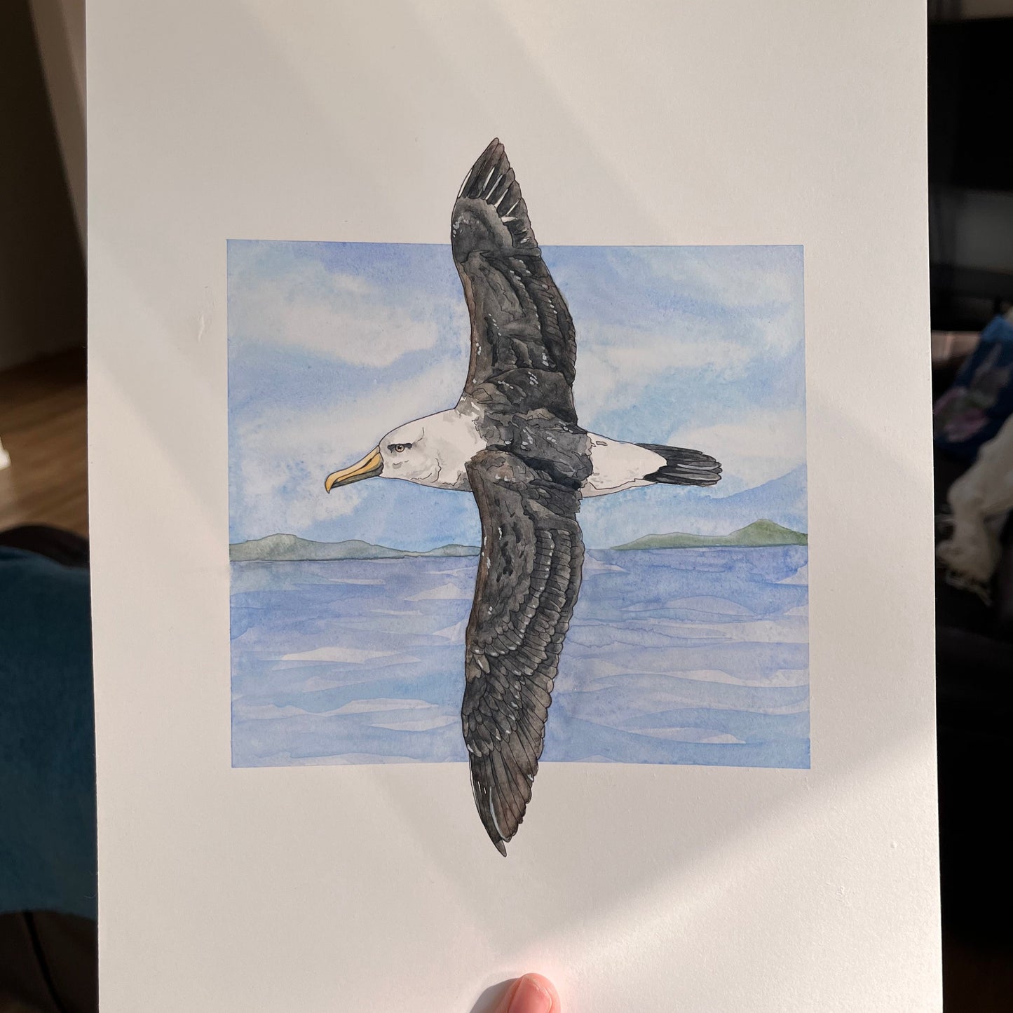 Albatross Original
