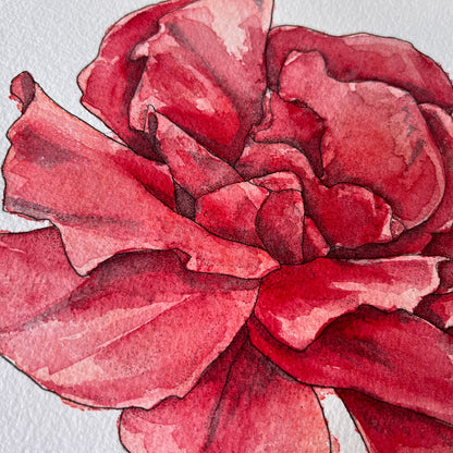 Rose Flower Original