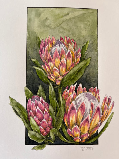 Protea Original