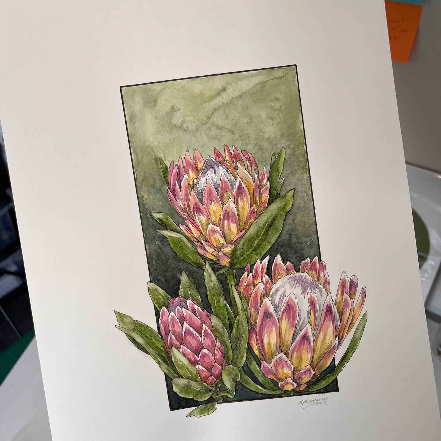 Protea Original