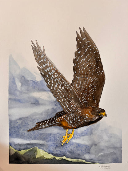 Falcon in Flight Original