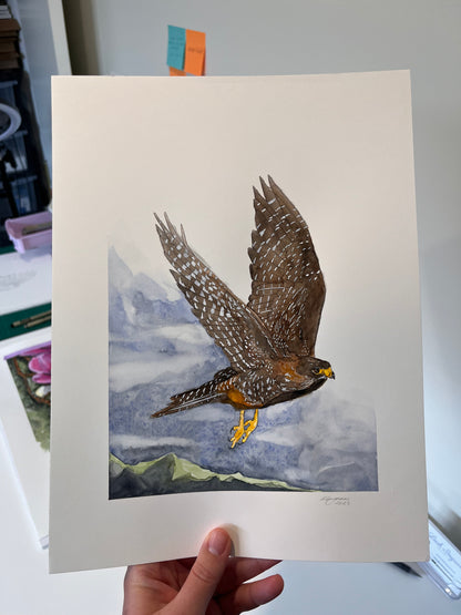 Falcon in Flight Original