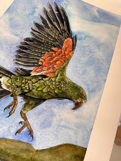 Kea of the Alps Original