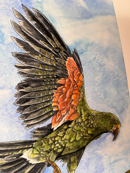 Kea of the Alps Original