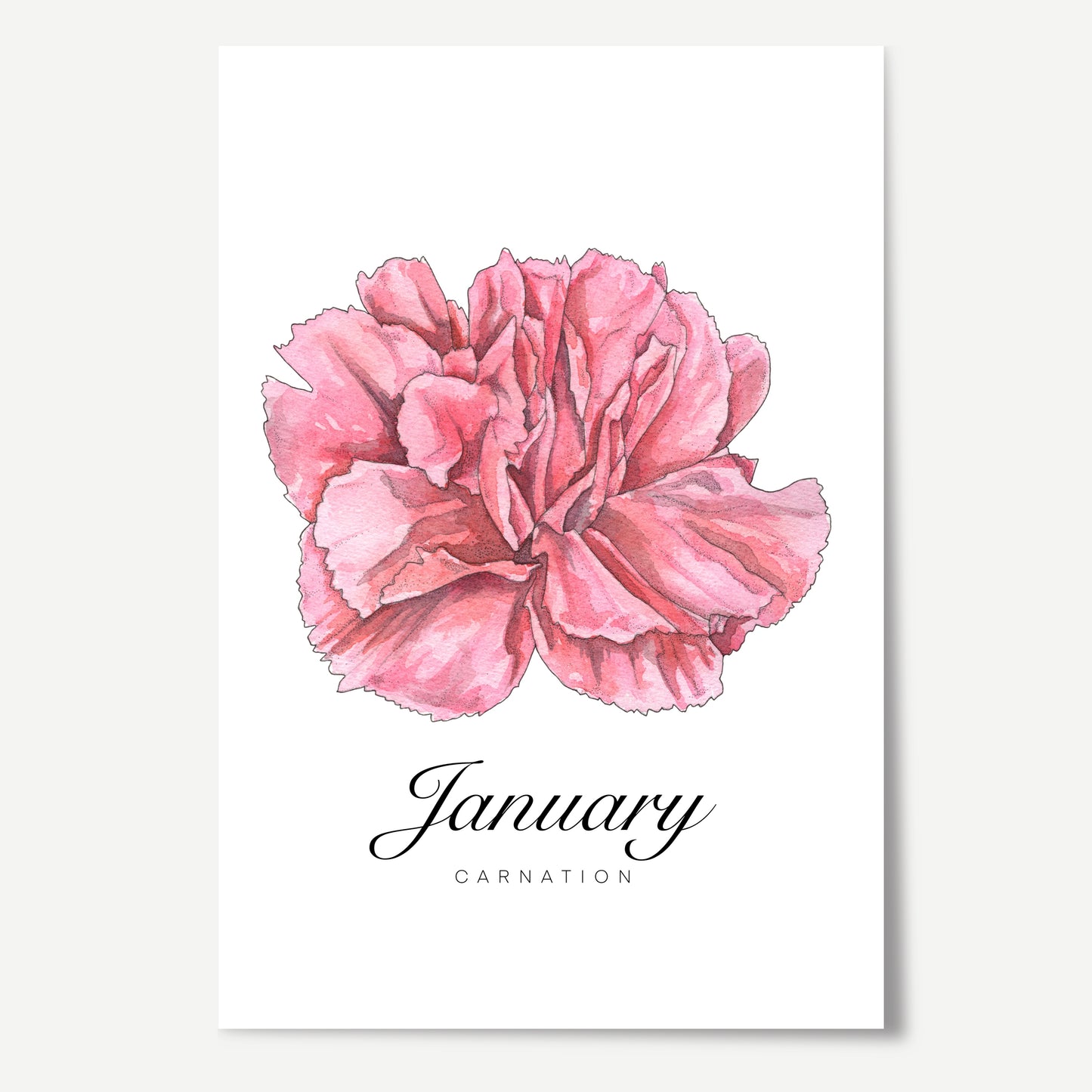 January Birth Month Flower Print