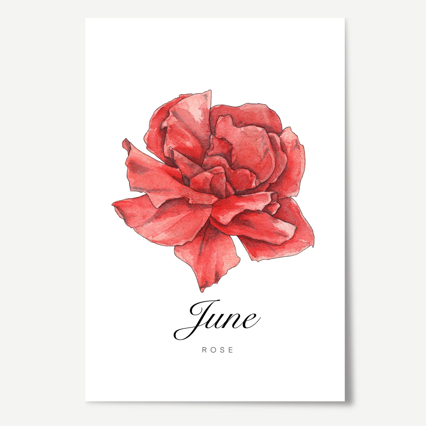 June Birth Month Flower Print