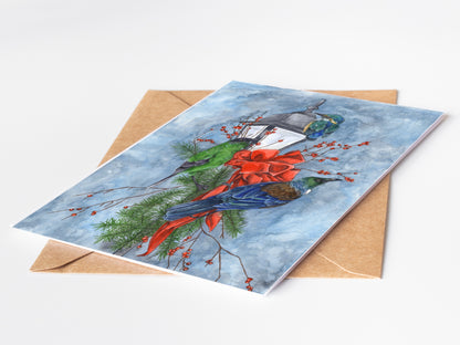 Kiwi Christmas Greeting Card
